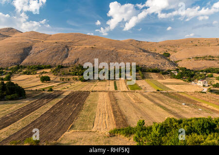 Lenticchie campo in Abruzzo, vicino a Santo Stefano di Sessanio Foto Stock