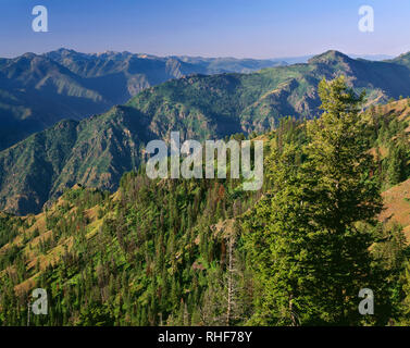Stati Uniti d'America, Oregon, Hells Canyon National Recreation Area, vista sud dal punto di Hat rivela boscose valli e rilievi di Hells Canyon e picchi distanti in Foto Stock