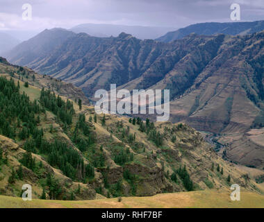 Stati Uniti d'America, Oregon, Hells Canyon National Recreation Area, vista sud in Imnaha Canyon, da cinque miglia di punto. Foto Stock