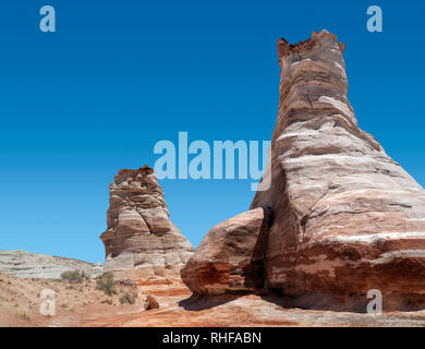 Piedi di elefante, vicino alla Monument Valley Foto Stock