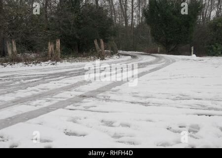 Auto tracce nella neve su una corsia di sporco tra gli alberi in un bosco. Strada di campagna, in curva, con pali di legno e impronte umane. Foto Stock