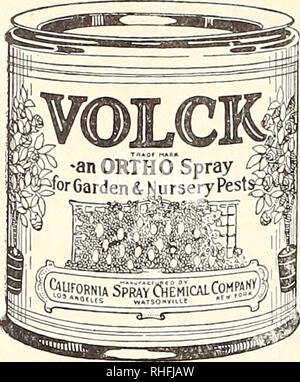 . Bolgiano di Baltimora guide giardino 1928. Semi Maryland Baltimore cataloghi; Verdure Maryland Baltimore cataloghi; Vivai (orticoltura) Maryland Baltimore cataloghi; fiori Semi cataloghi; attrezzature da giardinaggio e fornisce cataloghi; pollame le attrezzature e le forniture dei cataloghi. 66 Il J. Bolgiano società sementiera, Baltimore, Md.. Volck è uno dei più potenti insecti- cides Ijnown. È efficace su praticamente tutti gli insetti su orntiraental e piante fiorite. I risultati meravigliosi hanno bt'en ottenuto contro rosso ragni, ciclamino acaro, aphis (verde fly), scala farinoso bug, tlirips e caterpil Foto Stock