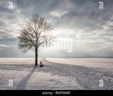 Una coperta di neve paesaggio con una panca sotto un albero in un freddo inverno pieno di sole giorno, un modo costeggia i terreni agricoli i campi in Westerwald, Renania-Palatinato Foto Stock