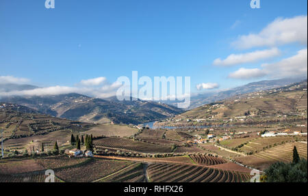 Valle del Douro vigneti terrazze del paesaggio in inverno viaggi Portogallo Foto Stock