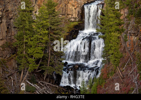 WY03129-00...WYOMING - Undine cade sul torrente di lava nel Parco Nazionale di Yellowstone. Foto Stock