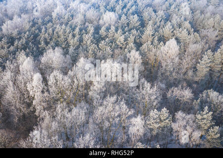 Rime e brina alberi di copertura. Vista aerea della neve-coperta di foresta e il lago dall'alto. Paesaggio invernale. Paesaggio foto catturate con drone. Foto Stock