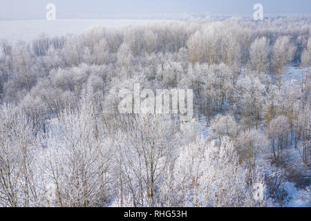 Rime e brina alberi di copertura. Vista aerea della neve-coperta di foresta e il lago dall'alto. Paesaggio invernale. Paesaggio foto catturate con drone. Foto Stock