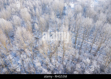 Rime e brina alberi di copertura. Vista aerea della neve-coperta di foresta e il lago dall'alto. Paesaggio invernale. Paesaggio foto catturate con drone. Foto Stock