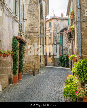 Farnese, vecchio e bellissimo paesino della provincia di Viterbo, Lazio, Italia. Foto Stock