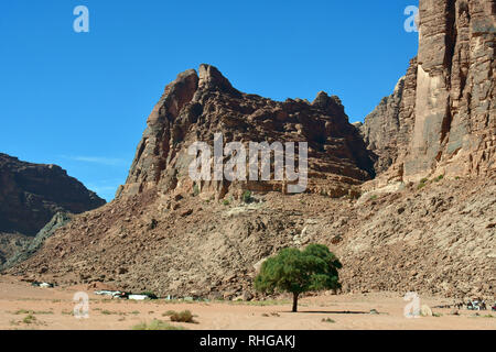 Le formazioni rocciose di Lawrence della primavera nel deserto a Wadi Rum. L'area protetta elencati come patrimonio mondiale dall' UNESCO, Giordania Foto Stock