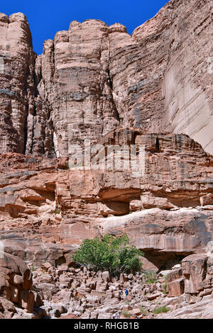 Le formazioni rocciose di Lawrence della primavera nel deserto a Wadi Rum. L'area protetta elencati come patrimonio mondiale dall' UNESCO, Giordania Foto Stock