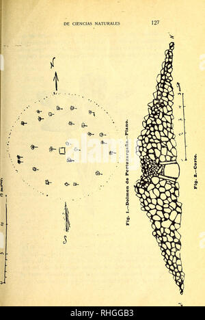 . Boletín de la Sociedad Ibérica de Ciencias Naturales. Storia naturale; Botanica. . Si prega di notare che queste immagini vengono estratte dalla pagina sottoposta a scansione di immagini che possono essere state migliorate digitalmente per la leggibilità - Colorazione e aspetto di queste illustrazioni potrebbero non perfettamente assomigliano al lavoro originale. La Sociedad ibérica de Ciencias Naturales. Saragozza : Librería Editorial de Cecilio Gasca Foto Stock