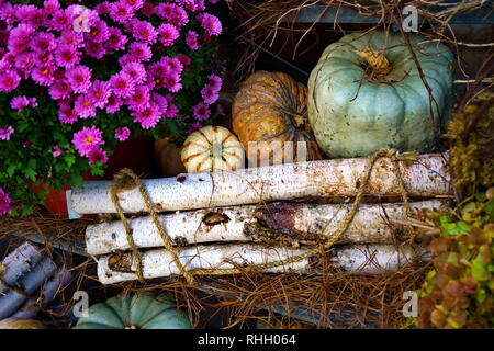 Semplice ma attraente zucca, fiori, legno e decorazioni di caduta. Foto Stock