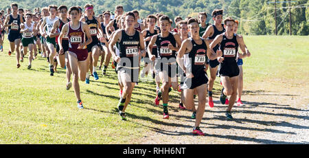 Wappingers Falls, New York, Stati Uniti d'America - 23 Settembre 2017: il lead pack di The Varsity high school boys cross country gara presso il Parco di Bowdoin Cross countr Foto Stock