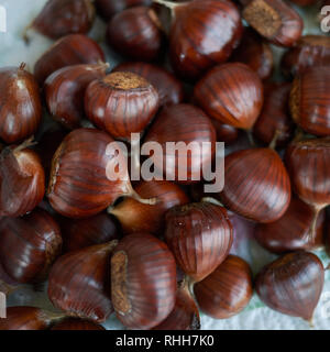 Castagne Foto Stock
