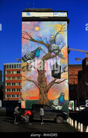 Un murale colorato in Gresham Street, Belfast, Irlanda del Nord e Irlanda del Nord, 02 feb 2019. Foto Stock