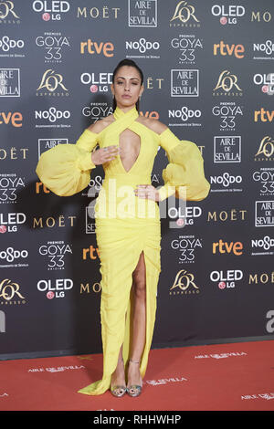 Sevilla, Andalusia. 2° febbraio 2019. Hiba Abouk assiste 33a Goya Cinema Awards 2019 al Palacio de Congresos y Exposiciones FIBES il 2 febbraio 2019 in Sevilla, Spagna Credit: Jack Abuin/ZUMA filo/Alamy Live News Foto Stock