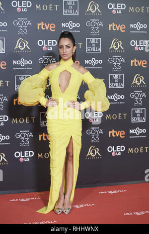 Sevilla, Andalusia. 2° febbraio 2019. Hiba Abouk assiste 33a Goya Cinema Awards 2019 al Palacio de Congresos y Exposiciones FIBES il 2 febbraio 2019 in Sevilla, Spagna Credit: Jack Abuin/ZUMA filo/Alamy Live News Foto Stock