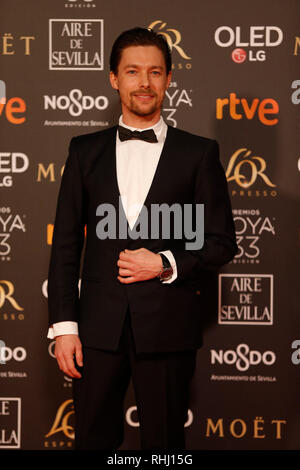 Sevilla, Spagna. 2° febbraio 2019. Jan Cornet assiste Goya Cinema Awards 2019 a FIBES Centro esposizioni e conferenze. Credito: SOPA Immagini limitata/Alamy Live News Foto Stock