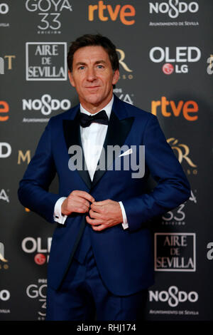 Sevilla, Spagna. 2° febbraio 2019. Antonio de la Torre assiste Goya Cinema Awards 2019 a FIBES Centro esposizioni e conferenze. Credito: SOPA Immagini limitata/Alamy Live News Foto Stock