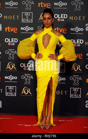 Sevilla, Spagna. 2° febbraio 2019. Hiba Abouk assiste Goya Cinema Awards 2019 a FIBES Centro esposizioni e conferenze. Credito: SOPA Immagini limitata/Alamy Live News Foto Stock