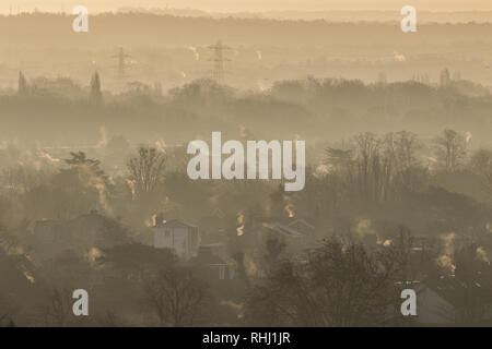 Londra REGNO UNITO. 3 febbraio 2019. Tetti di Wimbledon immerso nella luce del sole invernale in un freddo e gelido mattina come a bassa temperature di congelamento continua a credito: amer ghazzal/Alamy Live News Foto Stock