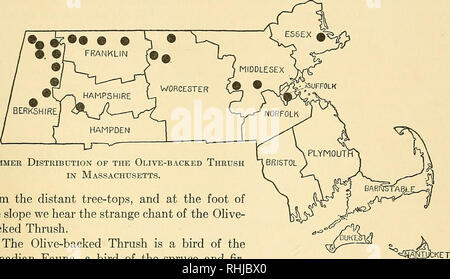 . Gli uccelli del Massachusetts e altri nuovi Stati in Inghilterra. Gli uccelli; uccelli. Oliva-backed tordo 399 del boscaiolo, il sun streaming in tra le rimanenti linee stimola i semi sepolto da uccelli e scoiattoli morbida in stampo di il suolo della foresta e inizia una fitta minia- ture foresta del bellissimo bosco di abeti. Nel tempo questi coprire il terreno per sostituire il legno antico e nascondere il grande, moss-coperto, decadendo le linee sulla terra. Qua e là alberi giovani di moosewood e betulla nero sono in crescita e poco brooks orlata da adombramento ciance felci clamorosamente giù sopra i loro letti di età Foto Stock