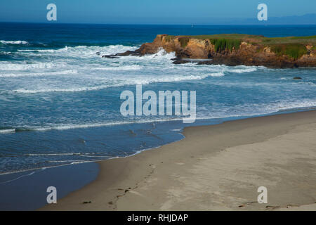 Coast Trail viste, MacKerricher State Park, California Foto Stock