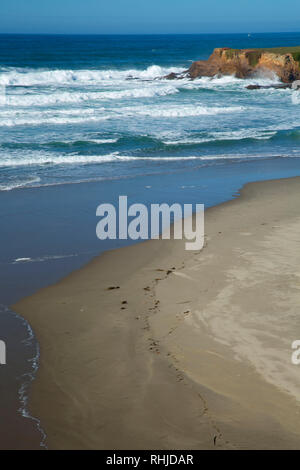 Coast Trail viste, MacKerricher State Park, California Foto Stock