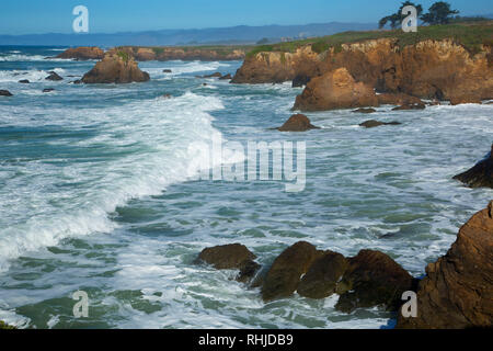 Coast Trail viste, promontori Noyo Park, Fort Bragg, California Foto Stock