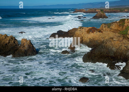 Coast Trail viste, promontori Noyo Park, Fort Bragg, California Foto Stock