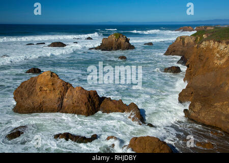 Coast Trail viste, promontori Noyo Park, Fort Bragg, California Foto Stock