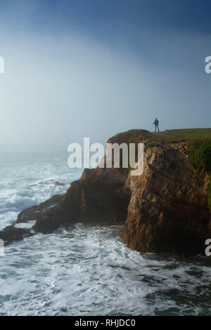 Coast Trail viste, MacKerricher State Park, California Foto Stock