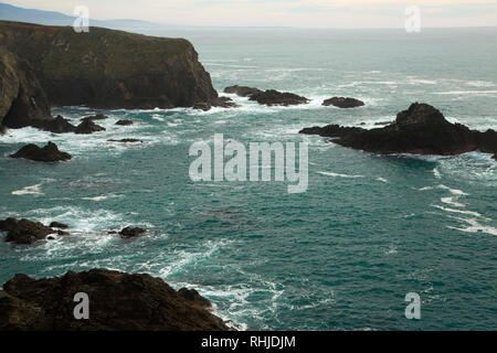 Vedute costiere, Navarro punto preservare, California Foto Stock