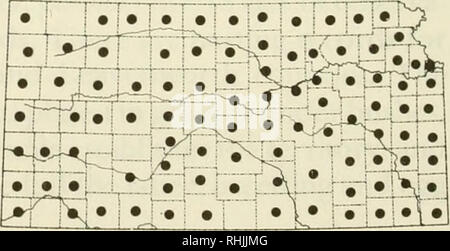 . Uccelli in Kansas. Uccelli -- Kansas identificazione. Un adulto Upland Sandpiper (Bartramia longicauda). Foto di David A. Rintoul. Upland Sandpiper Bartramia longicauda (Bechstein) Stato: l'Altopiano Sandpiper è un comune migrante in la metà orientale dello stato ed è raro in occidente. Esso razze comunemente nelle Colline di pietra focaia e meno comunemente altrove; esso può essere assente nell'estremo ovest come un uccello di allevamento. Periodo di ricorrenza: il più presto registrata la data di arrivo è il 6 marzo, ma la maggior parte dei uccelli arrivano circa il 4 aprile. L'ultima data di partenza. Si prega di notare che queste immagini sono estratte dal Foto Stock