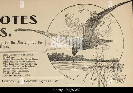 . Bird note e notizie. 5IRD NEWS n. &Amp; ixular fzittv issueti f erioiirall^ da ilje jfomtjj per tfyz ^rotazione di ^ixH. Contenuto. La protezione degli uccelli in "l'inverno. Il Pole-Trap. Binl Protezione in Egitto. Note-Notizie dall'estero. I procedimenti penali. Lo studio della natura. Rifugi di uccelli. Inverno Millinery. Ottobre, 1903. La protezione degli uccelli in India. Muirbum. ^-raccolta per scolari conservazione dei "beccaccia. La legge e il collettore. Gli uccelli rilasciato a Londra. Libri contro le larve. Notizie dai rami. Nei tribunali. Lezione stagione 1903-4. Londra, 3, Hanover Square, W. BIRD A. Si prega di notare che queste immagine Foto Stock