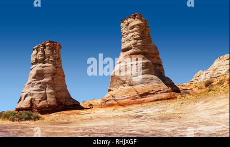 Piedi di elefante, vicino alla Monument Valley Foto Stock