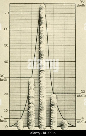 . Biologia e l'uomo. Biologia; esseri umani. gusci gusci 15 raggi 16 raggi 17 raggi 18 raggi raggi 19 al Museo Americano di Storia Naturale per il numero 1000 150 150 145 uomini. Si prega di notare che queste immagini vengono estratte dalla pagina sottoposta a scansione di immagini che possono essere state migliorate digitalmente per la leggibilità - Colorazione e aspetto di queste illustrazioni potrebbero non perfettamente assomigliano al lavoro originale. Gruenberg, Benjamin C. (Benjamin Charles), 1875-1965; Bingham, N. Eldred (Nelson Eldred), 1901-. Boston, New York, [ecc. ] Ginn e azienda Foto Stock