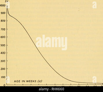 . La biologia della senescenza. Vecchiaia e invecchiamento; longevità. La distribuzione della senescenza 1940, Fig. 30) in wild arvicole (Hinton, 1925, 1926; Elton, 1942) e in Peromyscus (Burt, 1940) la senescenza non è mai osservato, a giudicare dallo stato dei denti e delle ossa di recenti e fossili di animali. In alcune popolazioni il vole devono essere considerati come un annuale (Elton, 1942). Usura del dente è un indice affidabile di età nel breve-tailed toporagni, quelli oltre i 2 anni di età essendo, edentula. 0 8 16 24 32 40 48 56 64 72 80 88 96 Fig. 30.-lisciata curva di sopravvivenza per la vole, Microtus agrestis in cattività (da Leslie e Foto Stock