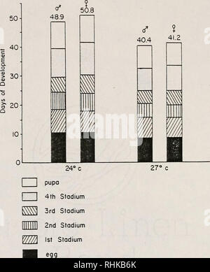 . La biologia e la colonizzazione della sabbia volare Lutzomyia diabolica (Hall) (Diptera: Psychodidae) con note sulla sua relazione di potenziale umano leishmaniosi cutanea in Texas, Stati Uniti d'America. Psychodidae; la leishmaniosi cutanea; insetti come vettori della malattia; gli insetti. -115-. La Figura 3-7. Grafico di confronto immaturi tempi di sviluppo per il maschio e femmina diabolica Lutzomyia allevati individualmente alla stadio adulto a 24 e 27° C (3° generazione di Colonia). Si prega di notare che queste immagini vengono estratte dalla pagina sottoposta a scansione di immagini che possono essere state migliorate digitalmente per la leggibilità - colorazione e appearanc Foto Stock