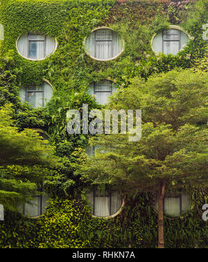 Piante verdi copertura su un edificio di KL Foto Stock