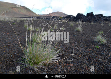 Trek verso il Piton de la Fournaise, un vulcano attivo in Réunion, Oceano Indiano Foto Stock