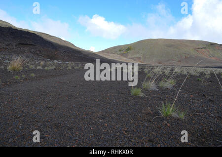 Trek verso il Piton de la Fournaise, un vulcano attivo in Réunion, Oceano Indiano Foto Stock