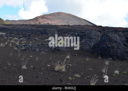 Trek verso il Piton de la Fournaise, un vulcano attivo in Réunion, Oceano Indiano Foto Stock