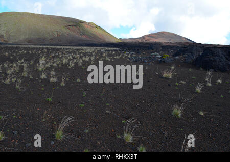 Trek verso il Piton de la Fournaise, un vulcano attivo in Réunion, Oceano Indiano Foto Stock