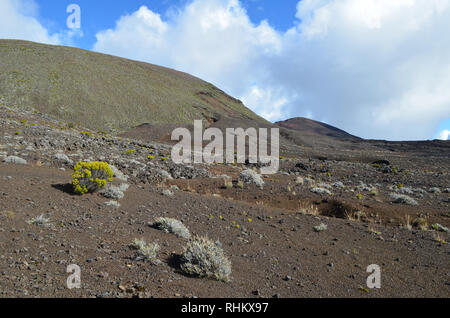 Trek verso il Piton de la Fournaise, un vulcano attivo in Réunion, Oceano Indiano Foto Stock