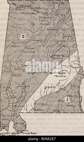 . Una indagine biologica di Alabama. I. Physiography e zone di vita. II. I mammiferi. Gli animali in Alabama. 66 Vale la pena AMERICAS' fauna. [N. 45 Sciurus niger texianus Bachman. Bachman Fox Squtbeel. Sciurus texianus Bachman, Proc. Zool. Soc. Londra, p, 86, 1838. La Bachman Fox Squirrel varia dal sud della Louisiana attraverso il Mississippi e la maggior parte di Alabama (eccetto il sud- contee orientali) di Tennessee orientale (fig. 8). Si tratta di un ricco di colori formano un po' re- sembling la com- mon Fox Squirrel del northern Missis- sippi Valley (rufi- venter), ma differiscono- ing per fienagione in testa un nero Foto Stock