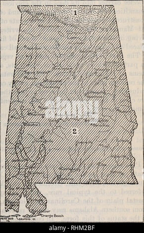 . Una indagine biologica di Alabama. I. Physiography e zone di vita. II. I mammiferi. Gli animali in Alabama. 1921.] MAMMIFERI DI ALABAMA-pipistrelli. 53 Neotoma pennsylvanica. Questi, a mio avviso, sono stati costruiti dai ratti e probabilmente sono usato di notte come luoghi di riposo, così come sono stati quelli di pennsylvanica a Mammoth Cave, Kentucky, nelle ore diurne. A giudicare dall'accumulo di hickory-gusci di noce trovati circa le scogliere occupato da questi ratti di legno, i dadi deve costituire un elemento importante del loro cibo in inverno. Papaw le sementi sono state anche trovate vicino alle loro tane. In estate i ratti senza dubbio i feed in gran parte sulle erbe succulente Foto Stock