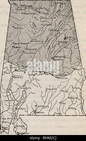 . Una indagine biologica di Alabama. I. Physiography e zone di vita. II. I mammiferi. Gli animali in Alabama. 1921.] MAMMIFERI DI ALABAMA TOPI. 47 da Virginia a Arkansas e Louisiana; in Alabama, tuttavia è limitato finora come noto per la metà settentrionale dello Stato da Montgomery County a nord ed è in generale meno numerose di quelle in più parti settentrionali della sua gamma. Gli esemplari sono stati prelevati a banchi di muscolo, Leighton, Sir Alfred Hitchcock, Stevenson, sabbia (montagna vicino falegname), Erin (Contea di argilla), Choccolocco montagna, Greensboro e Barachias (fig. 2)1 questa specie vive in una grande of Foto Stock