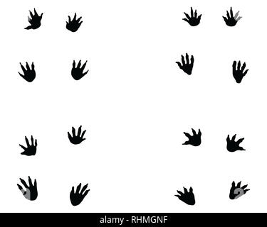 Footprint di nero di coccodrillo su sfondo bianco Foto Stock